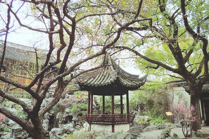 上海ハイライトシティツアー：豫園、ブント＆天子坊