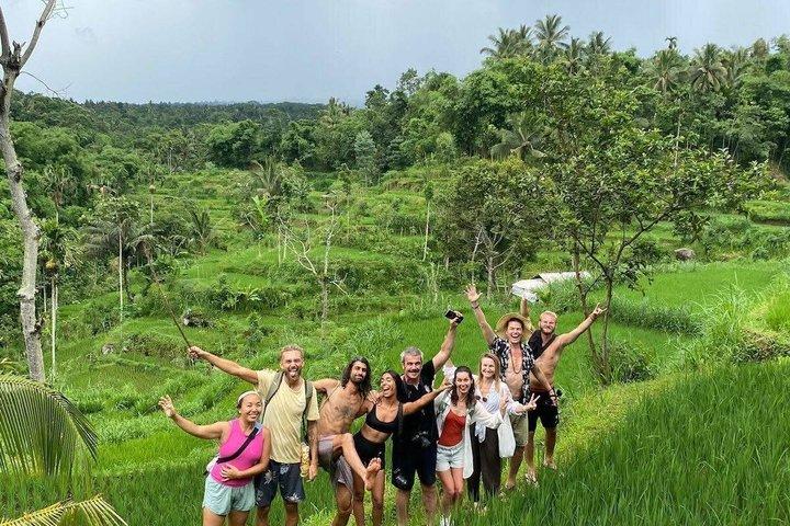 Tetebatu Private Trek Reisfelder Wasserfall und Affenwald