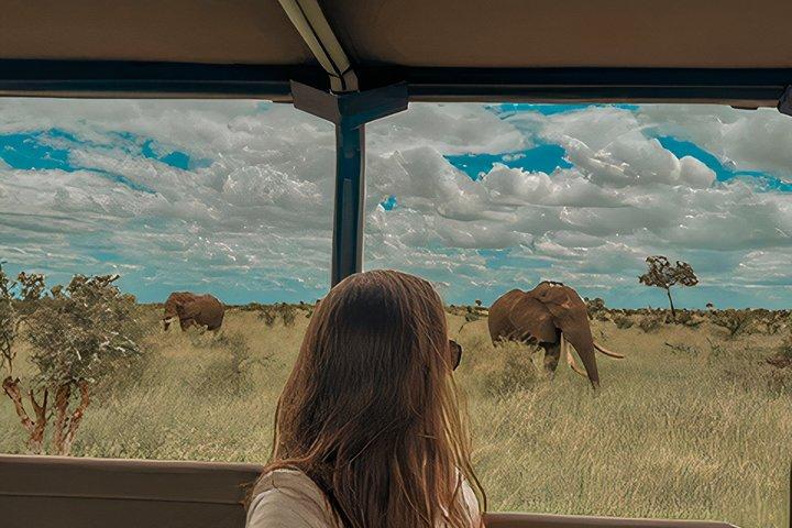 4-daagse Kruger Safari en Panorama Route Tour vanuit Johannesburg