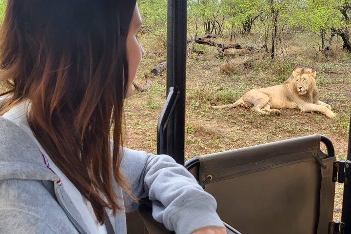 5-dages Kruger Safari og panorama rute tur fra Johannesburg