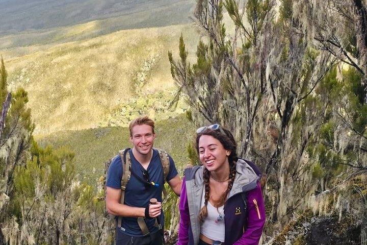Kilimanjaro dagstur marangu rute