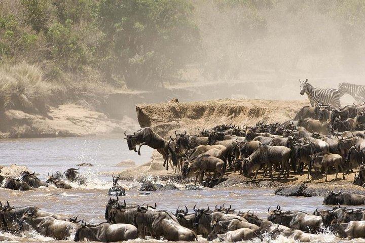Pakkerejser til Maasai Mara Reserve
