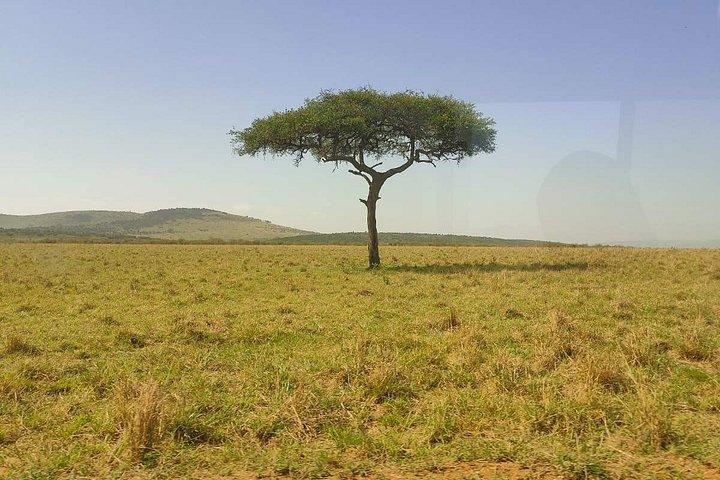 Pakkerejser til Maasai Mara Reserve