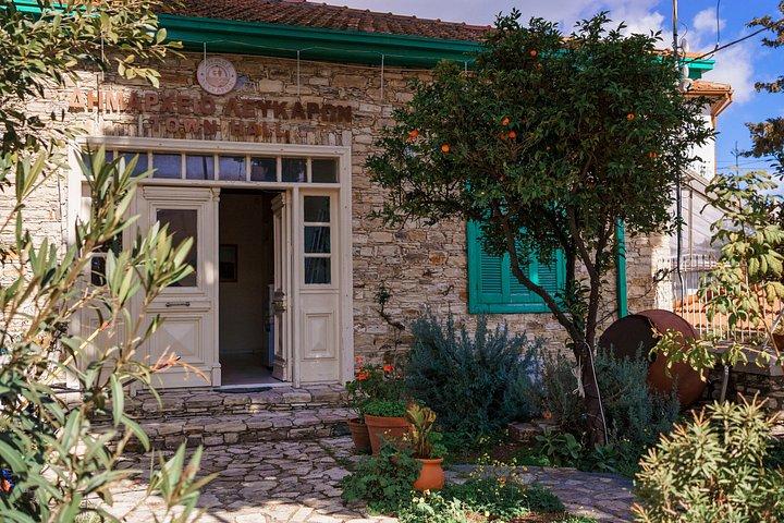 Individual Tours from Paphos