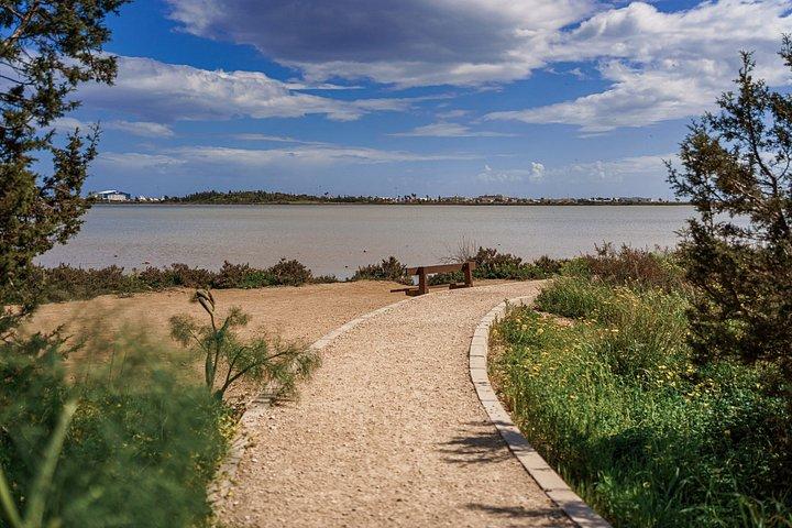 Individual Tours from Paphos