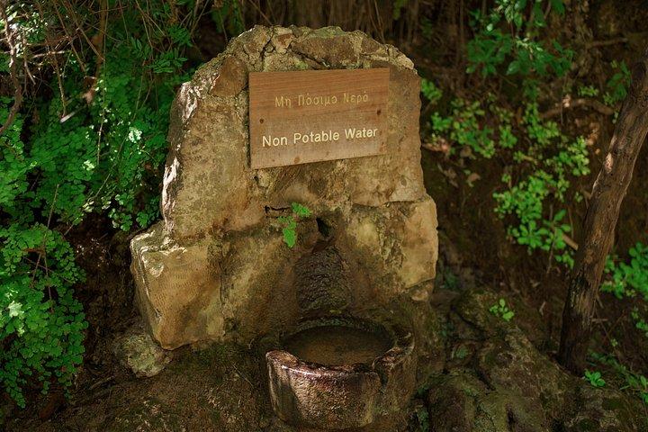 Individual Tours from Paphos