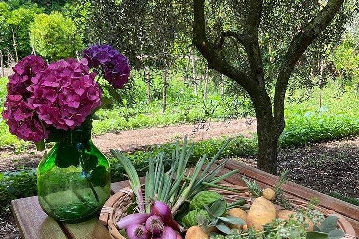 Pizza Workshop in a Sorrento Garden Hands on Experience