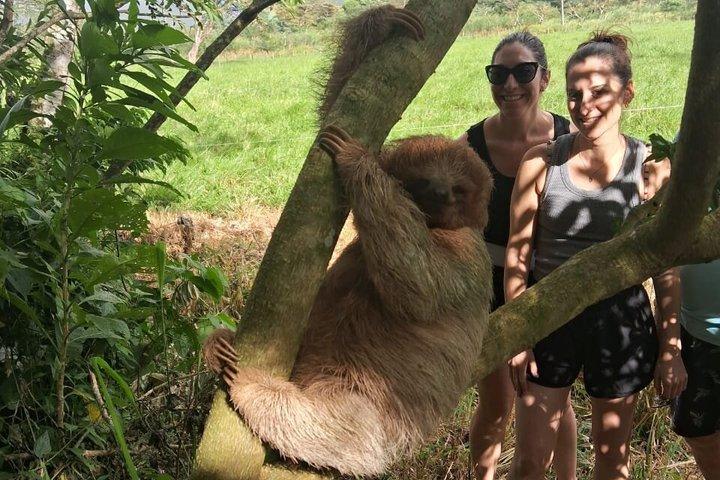 Guanacaste Meraviglie Sloths Cascate e caffè