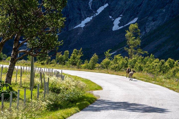 Privat tur til Grotfjord