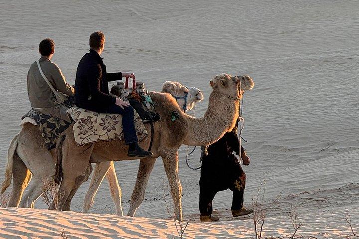 Authentic Desert Night at Tunisian Sahara Camp