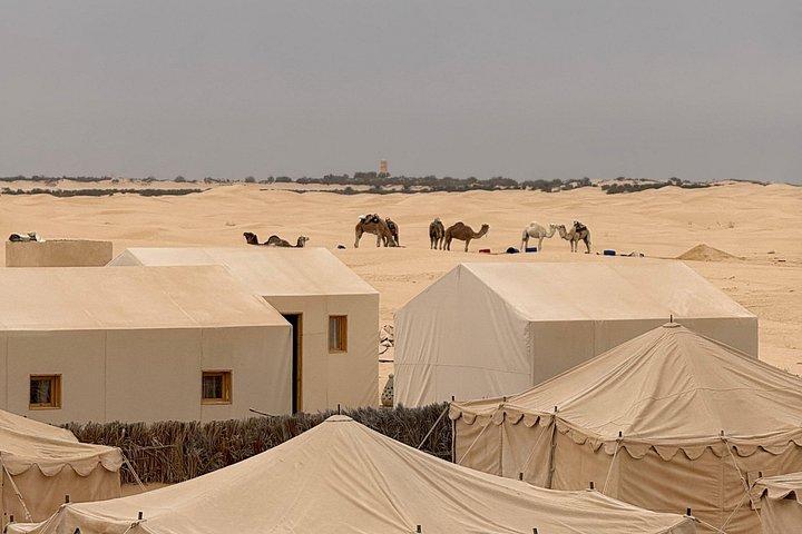 Authentic Desert Night at Tunisian Sahara Camp