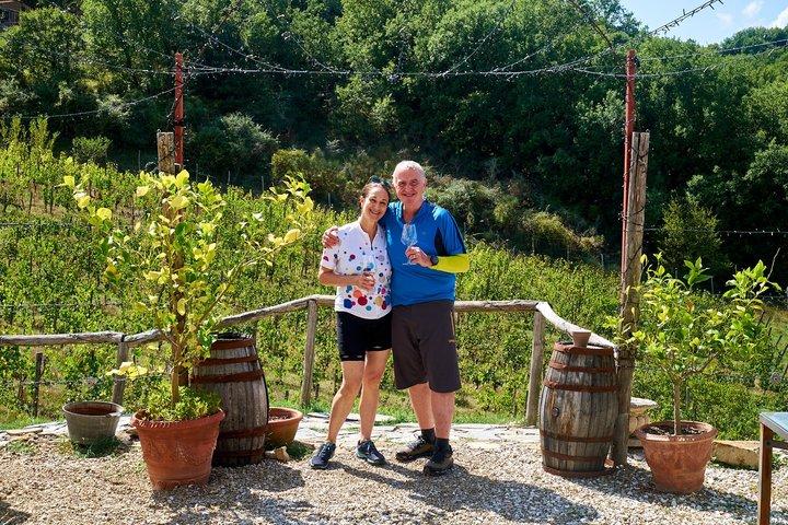 Tour enológico Brunello di Montalcino con 2 bodegas y almuerzo en la granja