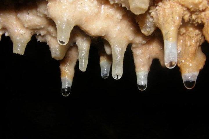 東部セルビアのプライベートツアーの宝物