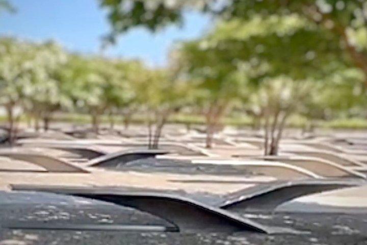 Das Pentagon 9/11 Memorial : Eine Audiotour mit Selbstführung