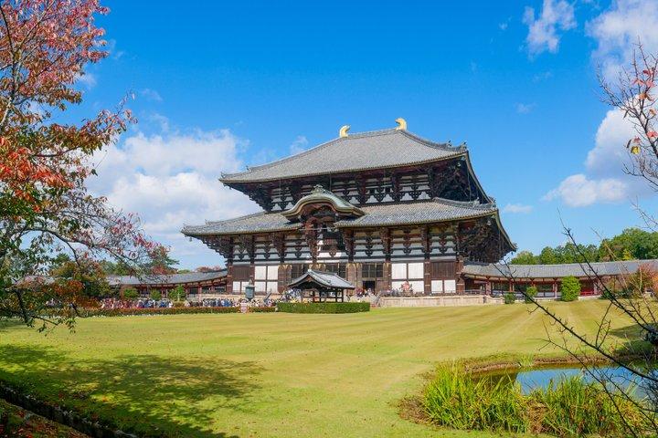 Nara Private Day Trip from Osaka