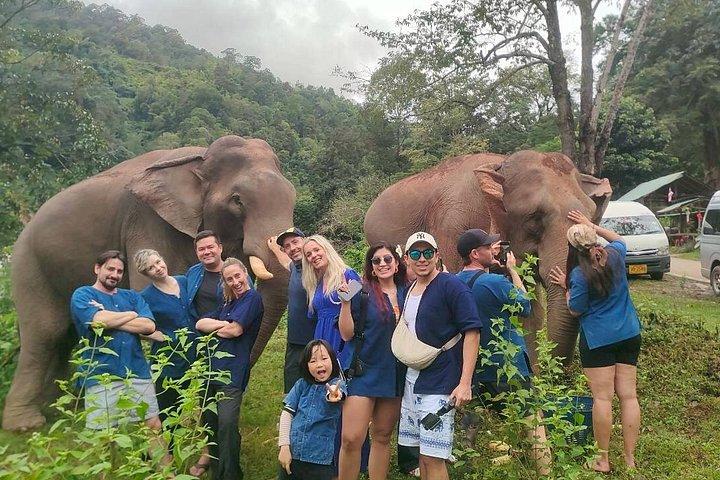 Smile Elephant Chiangmai (Half day Visit)
