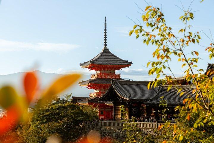 Kyoto Privédagtrip vanuit Osaka