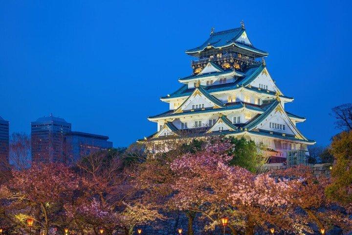 Osaka Private Nachttour