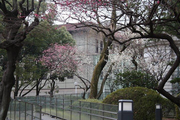 上野公園とアメ横通りフードマーケット半日ウォーキングツアー
