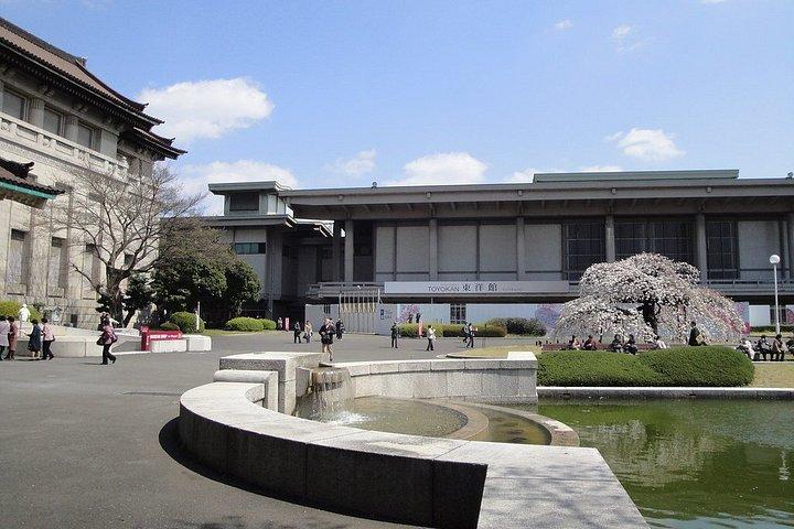 上野公園とアメ横通りフードマーケット半日ウォーキングツアー