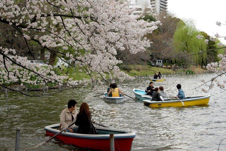 Ueno Park e Ameyoko Street Food Market Tour a piedi di mezza giornata