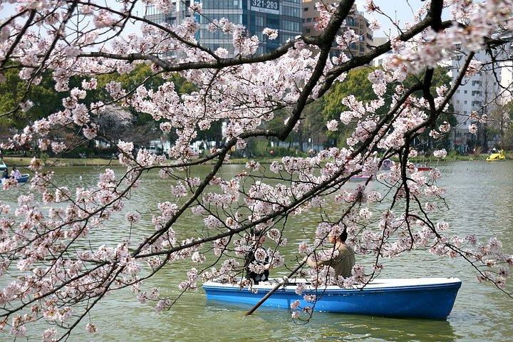上野公園とアメ横通りフードマーケット半日ウォーキングツアー
