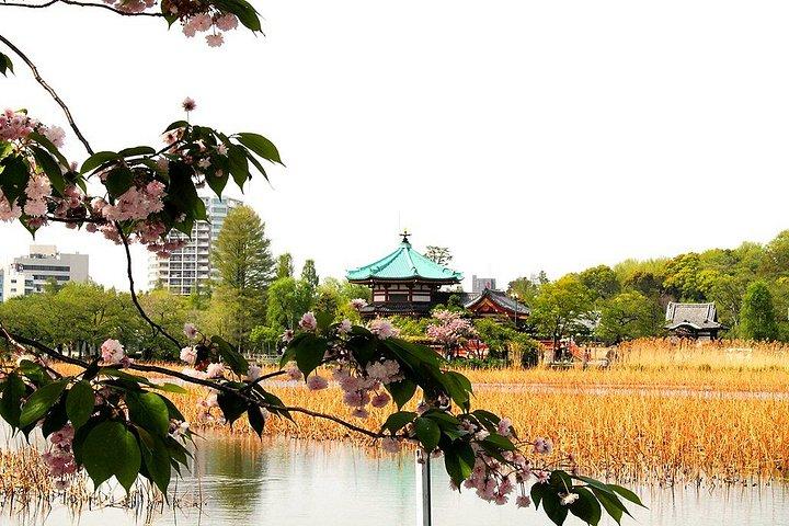 上野公園とアメ横通りフードマーケット半日ウォーキングツアー