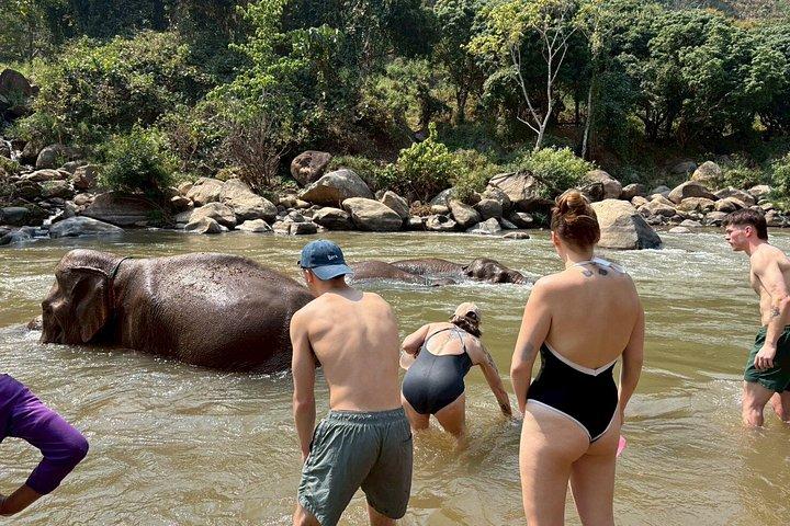 Smile Elephant Chiangmai (Half day Visit)