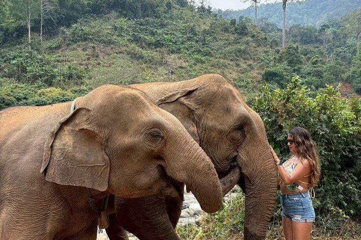 Smile Elephant Chiangmai (Half day Visit)