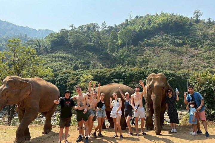 Smile Elephant Chiangmai (Half day Visit)