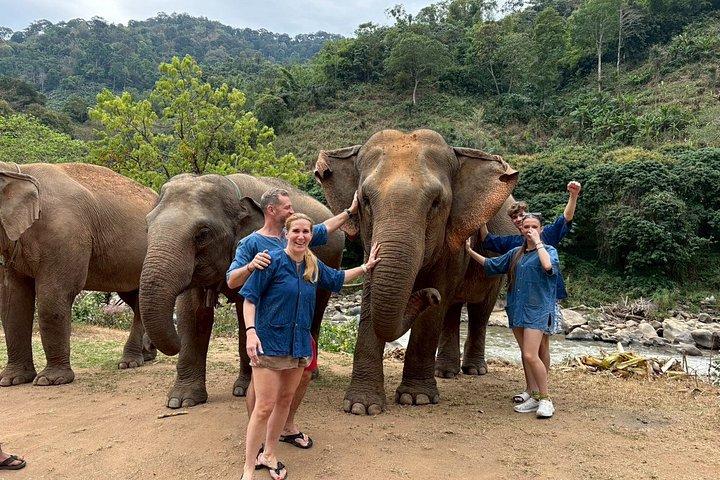Smile Elephant Chiangmai (Half day Visit)