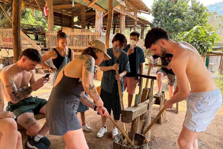 Smile Elephant Chiangmai (Half day Visit)