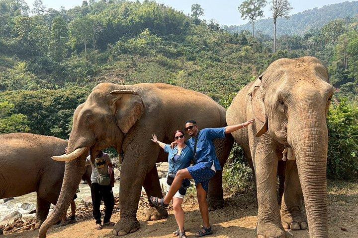 Smile Elephant Chiangmai (Half day Visit)