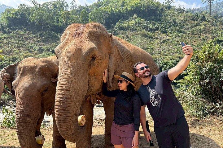 Smile Elephant Chiangmai (Half day Visit)