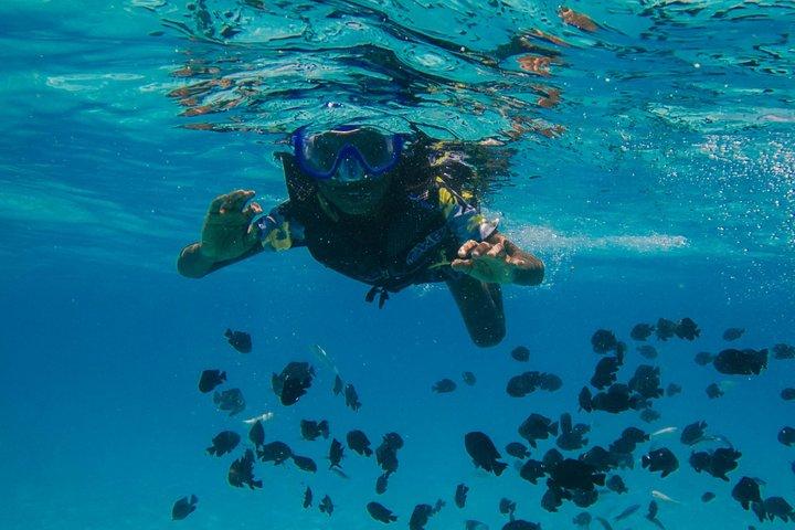 Tirana & Durazzo: gita in motoscafo sull'isola di Sazan, grotta e Karaburun
