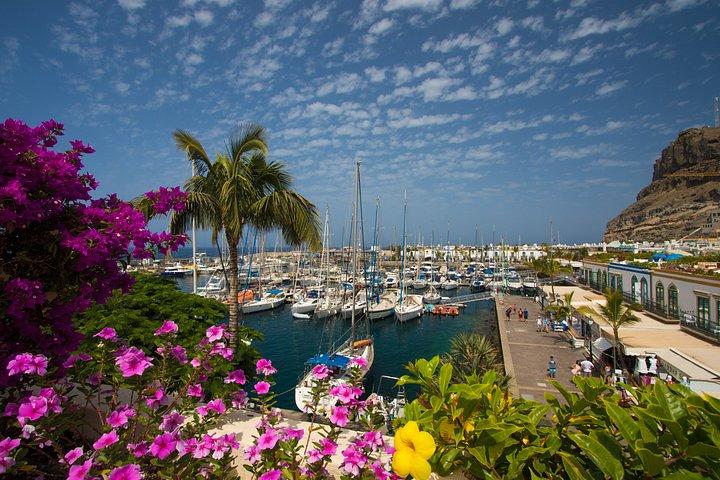 Half Day Puerto de Mogán Friday Market and Shopping Experience
