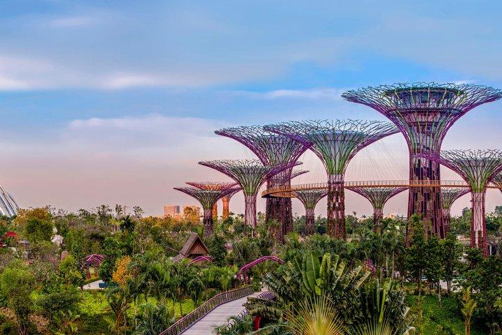 Singapore Gardens by the Bay Flower Dome Nebelwald