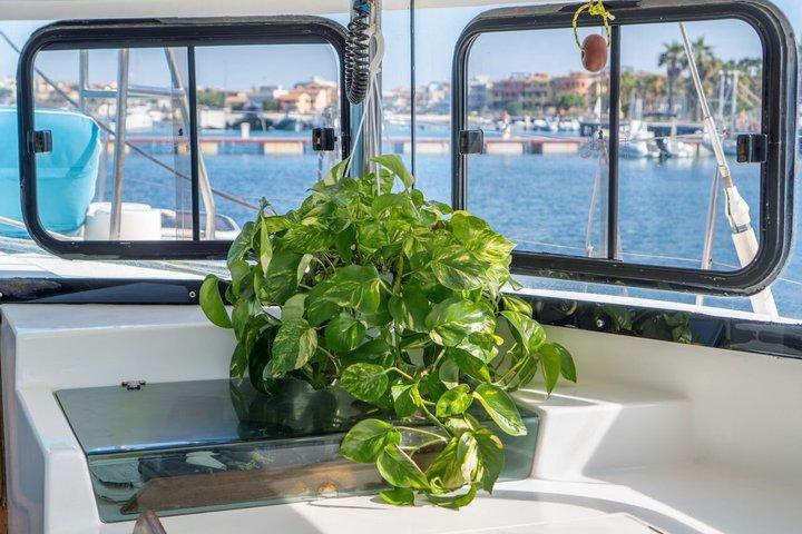 Excursion en monomaran de 16 mètres avec embarquement à Maddalena et Palau