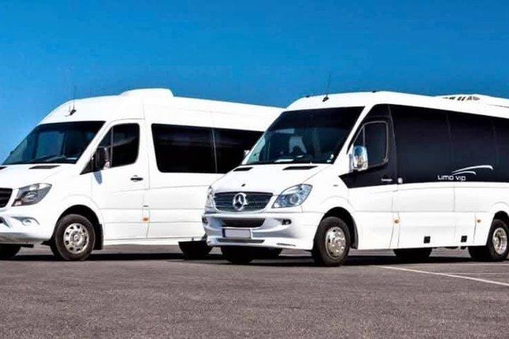 Santorini Private Excursion for Cruise Passengers and Visitors