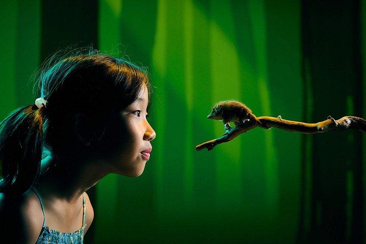 Scienceworks Melbourne Museum Admission Ticket