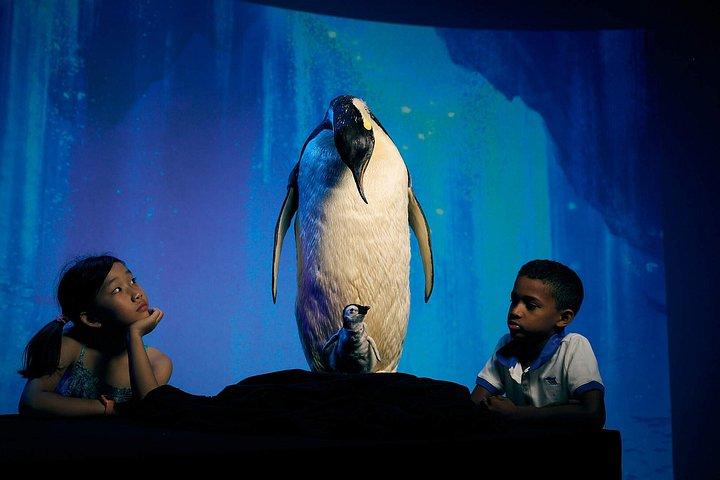 Scienceworks Melbourne Museum Admission Ticket