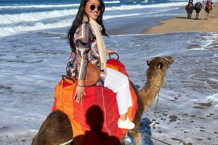 Excursion d'une demi-journée à Tanger parfaite pour les croisiéristes