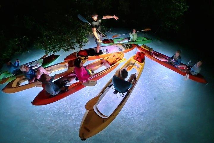 Glow And Discover, visite guidée de nuit en kayak Eco à Key West