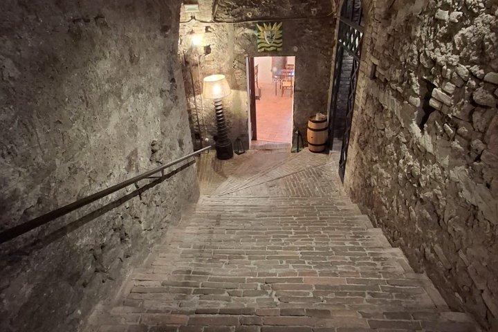 世界で最も美しいワインセラーのひとつでのテイスティングツアー