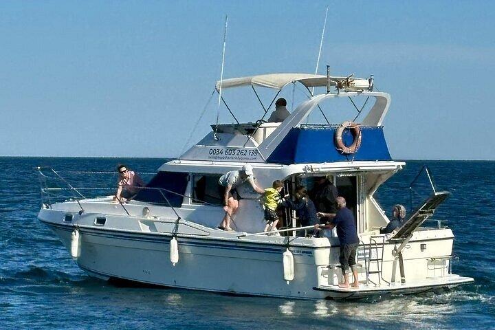 Eco-Dolphin Expedition in La Duquesa - Intimate Navigation and Cava