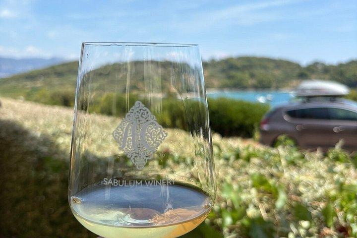 Tour del vino Korčula - tour privato
