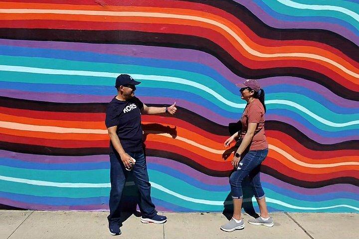 San Antonio Foodie Tour with Puffy Tacos and Murals by E Bike