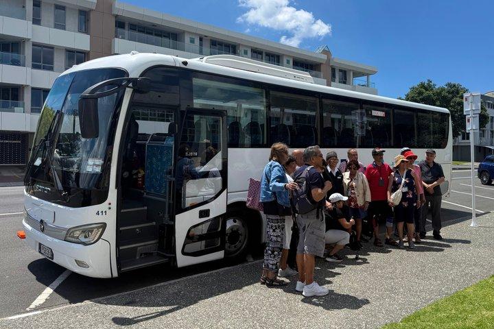 TAURANGA City & Scenic Sightseeing Tour di 2 ore in autobus locale