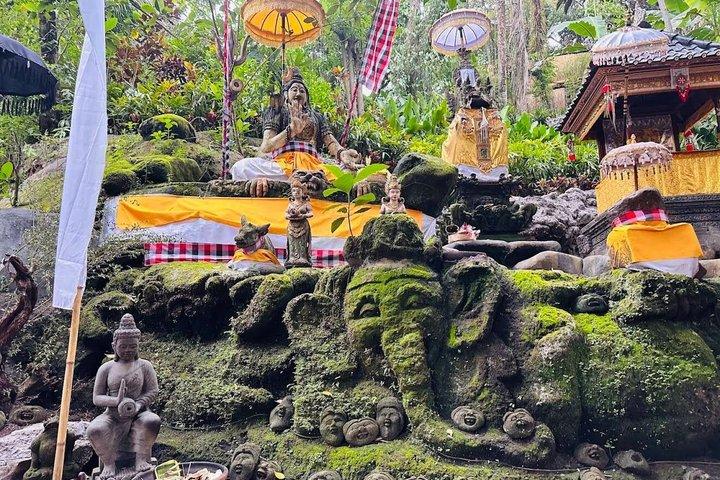 Åndelig rensning: Vandfald, Monkey Sanctuary, Sø og Healing