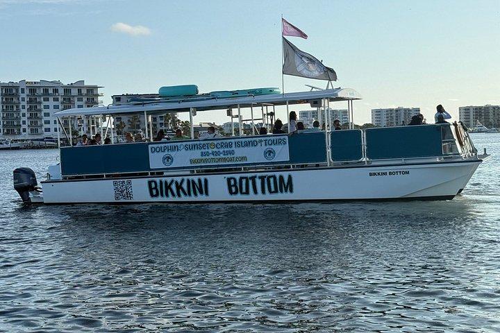 Sunset Dolphin kryssning